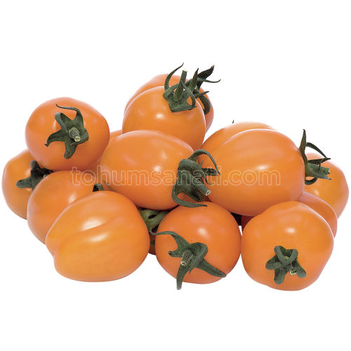 3'lü Domates Tohumu