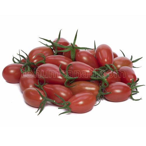 3'lü Domates Tohumu
