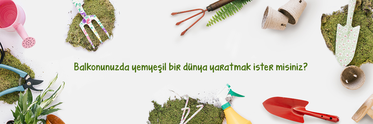 TS-banner.jpg (360 KB)