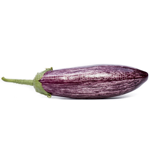 Kırçıl Patlıcan Tohumu
